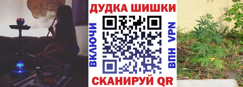 Купить где  Луза  Конопля план 